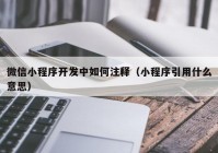 微信小程序開發(fā)中如何注釋（小程序引用什么意思）