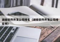 湖南軟件開發(fā)公司排名（湖南軟件開發(fā)公司排名榜）