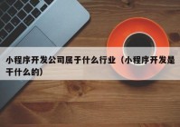 小程序開發(fā)公司屬于什么行業(yè)（小程序開發(fā)是干什么的）