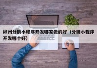 郴州分銷小程序開發(fā)哪家做的好（分銷小程序開發(fā)哪個好）