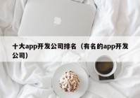 十大app開發(fā)公司排名（有名的app開發(fā)公司）