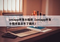 uniapp開發(fā)小程序（uniapp開發(fā)小程序顯示不了圖片）