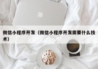 微信小程序開發(fā)（微信小程序開發(fā)需要什么技術(shù)）