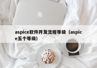 aspice軟件開發(fā)流程等級(jí)（aspice五個(gè)等級(jí)）