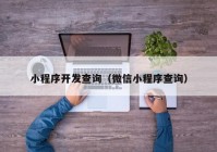 小程序開(kāi)發(fā)查詢（微信小程序查詢）