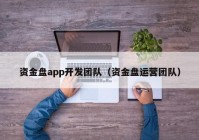 資金盤app開發(fā)團隊（資金盤運營團隊）