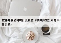 軟件開發(fā)公司有什么職位（軟件開發(fā)公司是干什么的）