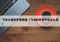 飛書小程序開發(fā)教程（飛書的開發(fā)平臺(tái)怎么用）