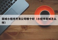 商城小程序開發(fā)公司哪個好（小程序商城怎么樣）