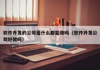 軟件開發(fā)的公司是什么都能做嗎（軟件開發(fā)公司好做嗎）