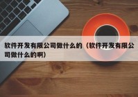 軟件開發(fā)有限公司做什么的（軟件開發(fā)有限公司做什么的啊）