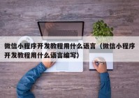 微信小程序開發(fā)教程用什么語言（微信小程序開發(fā)教程用什么語言編寫）