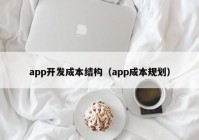 app開發(fā)成本結(jié)構(gòu)（app成本規(guī)劃）