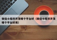 微信小程序開發(fā)哪個平臺好（微信小程序開發(fā)哪個平臺好用）