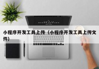 小程序開發(fā)工具上傳（小程序開發(fā)工具上傳文件）