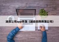 湖南公司app開(kāi)發(fā)（湖南軟件開(kāi)發(fā)公司）