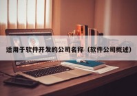 適用于軟件開發(fā)的公司名稱（軟件公司概述）