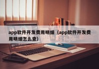 app軟件開發(fā)費(fèi)用明細(xì)（app軟件開發(fā)費(fèi)用明細(xì)怎么查）