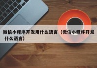 微信小程序開發(fā)用什么語言（微信小程序開發(fā) 什么語言）