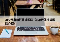 app開發(fā)如何建設(shè)團隊（app開發(fā)項目團隊介紹）