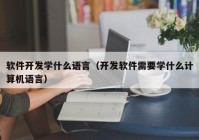 軟件開發(fā)學(xué)什么語言（開發(fā)軟件需要學(xué)什么計算機語言）